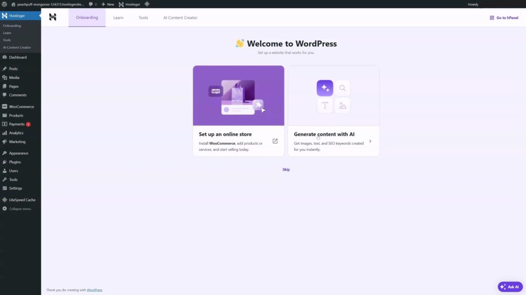 How to Build an Online Store with WordPress & Hostinger