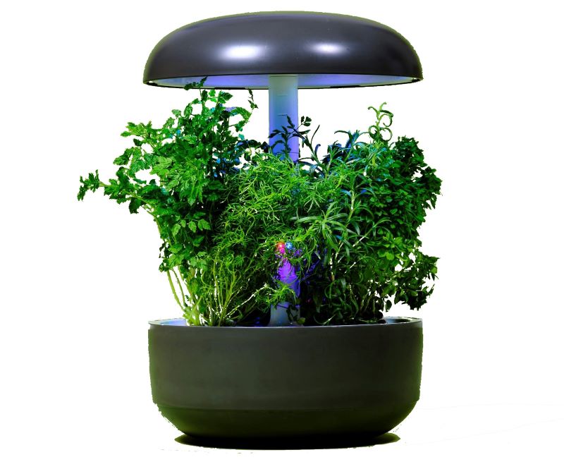 plantui smart garden 6