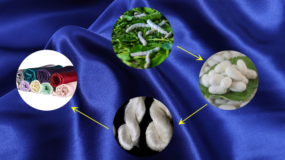 How Mulberry Silk is Made
